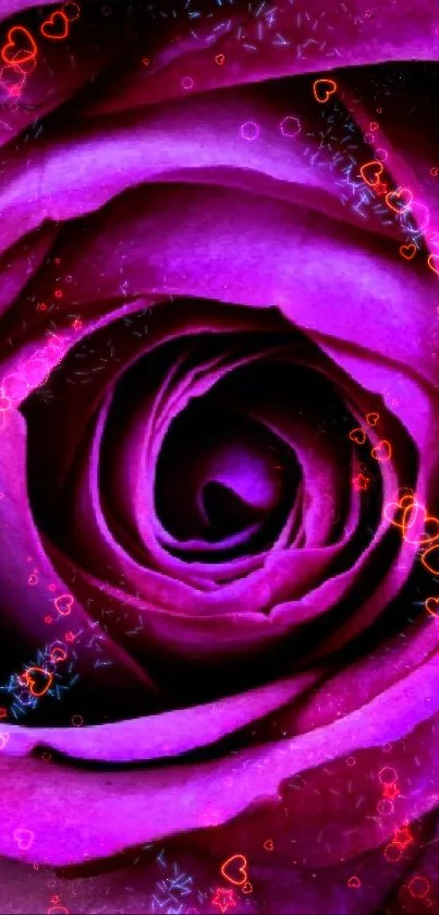 Close-up of a vibrant purple rose in stunning detail.