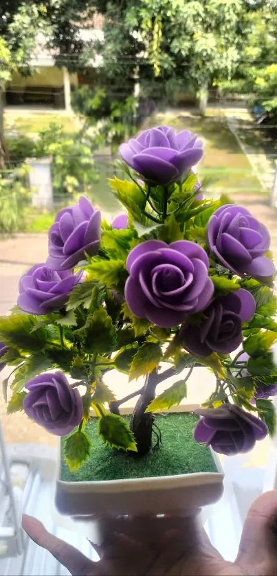 Purple roses in a vibrant arrangement, handheld in natural light.