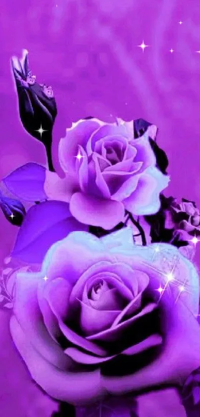 Vibrant purple rose wallpaper with glowing floral design.