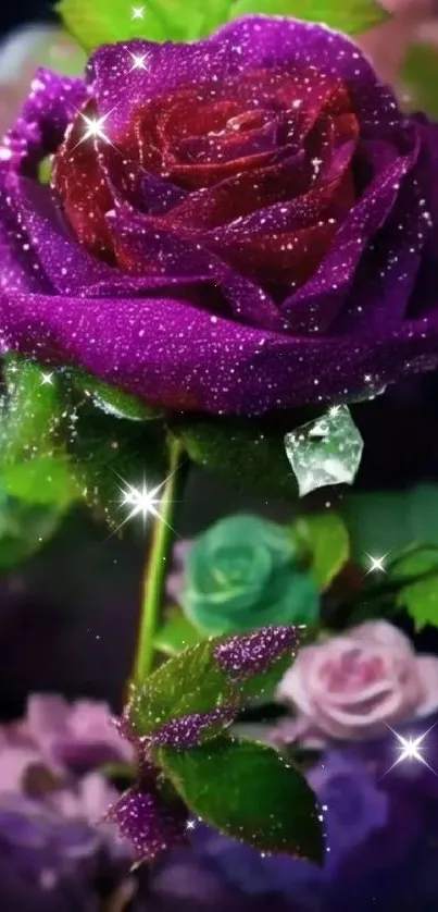 A vibrant purple rose adorned with shimmering dew drops.