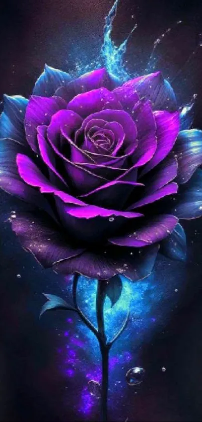 Vibrant purple rose with glowing blue accents on a dark background.