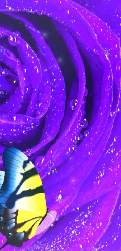 Purple rose wallpaper with butterfly accent.