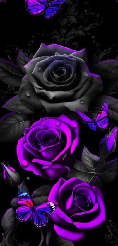 Vibrant purple roses with butterflies on a dark backdrop.