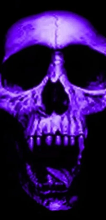 Vibrant purple skull artwork on black background.