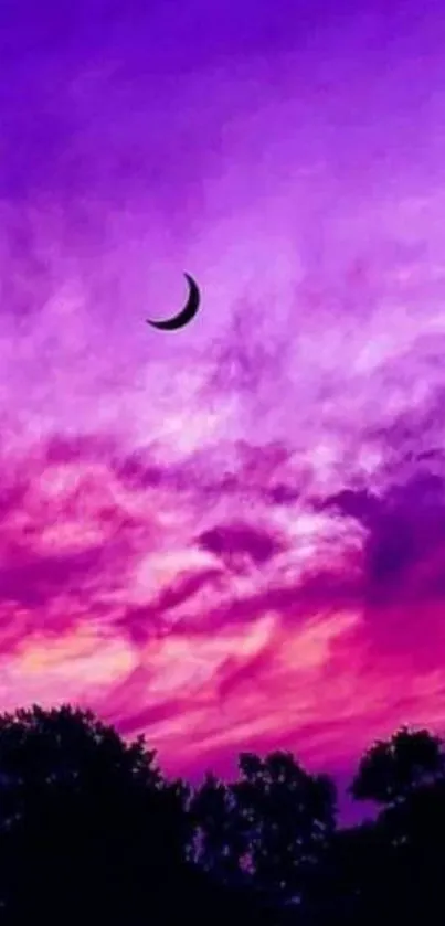 Purple sky with crescent moon and trees in silhouette.