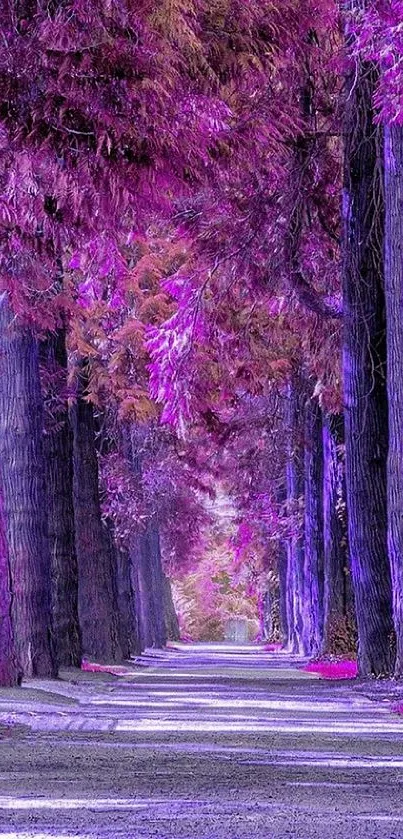 A vibrant purple tree path creating a surreal and colorful nature scene.