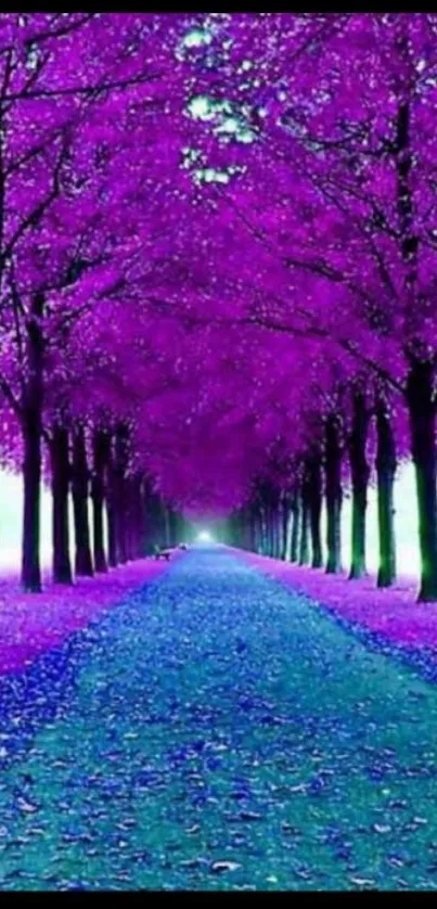 Purple tree pathway creating a stunning natural tunnel.