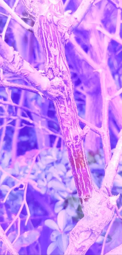 Abstract purple tree branches with natural elements.