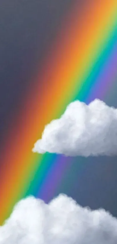 Vibrant rainbow with fluffy clouds on a gray sky background.