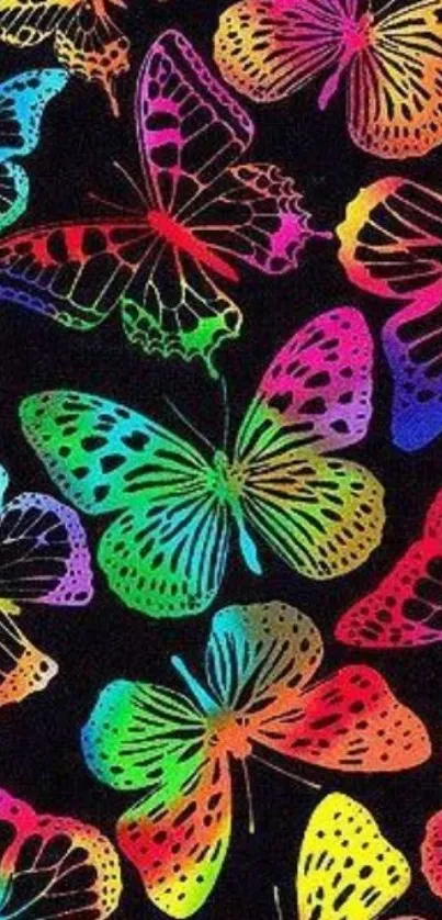 Colorful butterfly wallpaper on a black background.