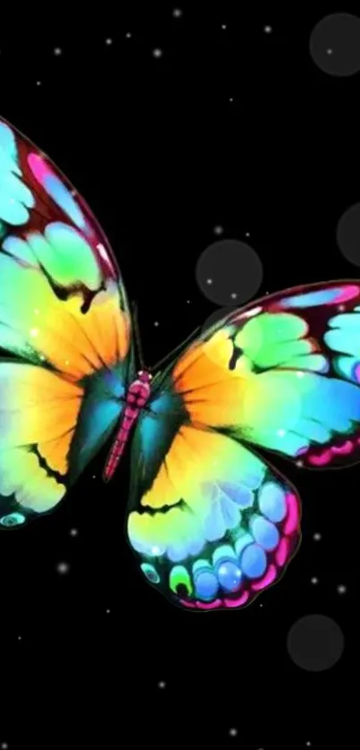 Vibrant rainbow butterfly on a black background wallpaper.