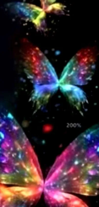 Colorful butterflies on a dark background.