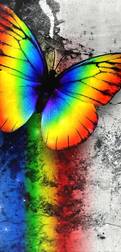 Colorful rainbow butterfly on a textured background mobile wallpaper.