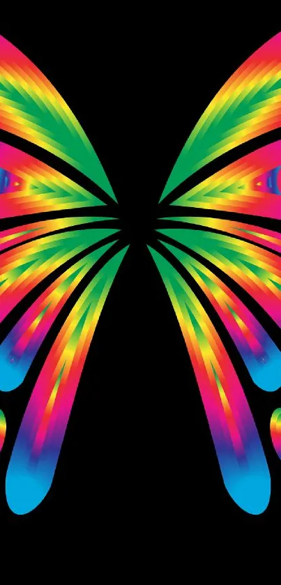 Colorful rainbow butterfly on a black background wallpaper.