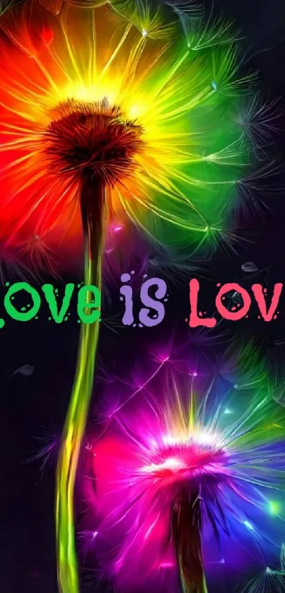 Rainbow dandelions with 'Love is Love' text on black background.