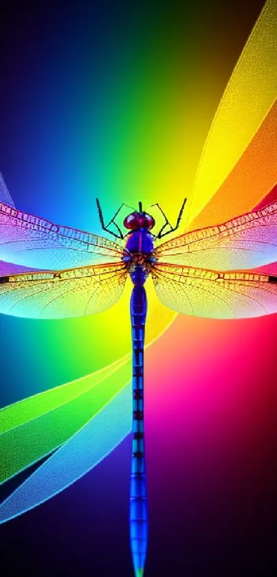 Colorful dragonfly with vibrant rainbow wings on a dark background.