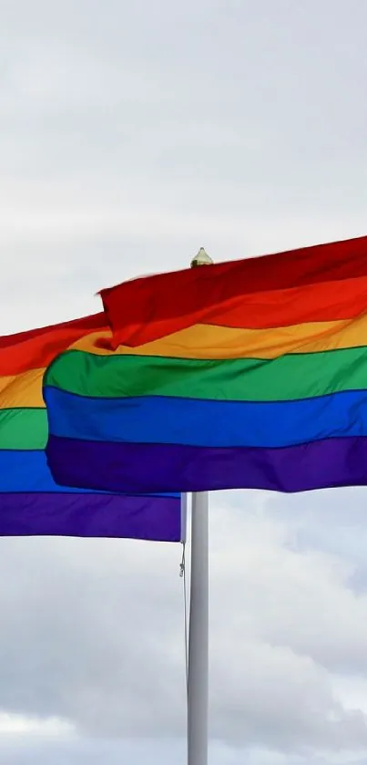 Colorful rainbow flags waving on a cloudy day.