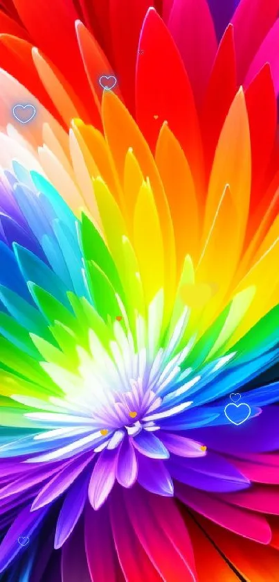 Vibrant rainbow flower wallpaper with colorful petals in a dazzling design.