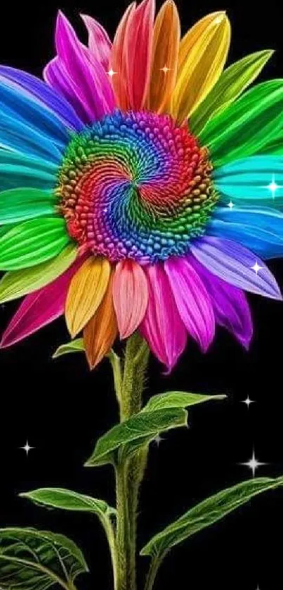 Colorful spiral rainbow flower on black background.