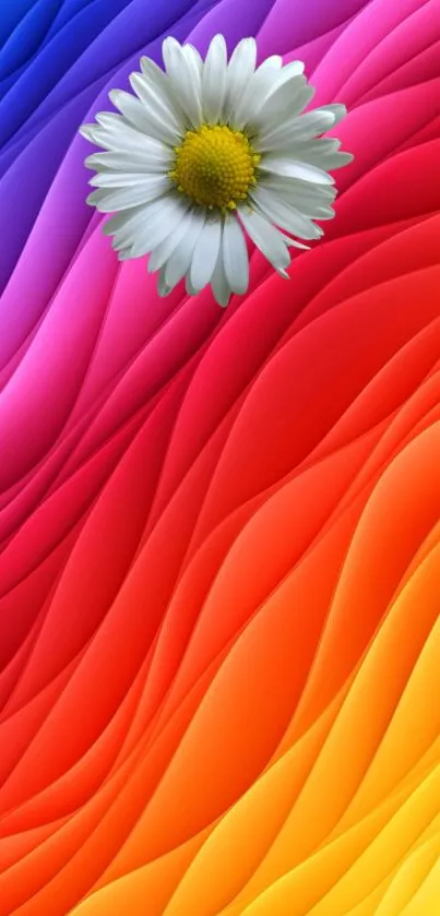 Vibrant rainbow waves with a flower centered.