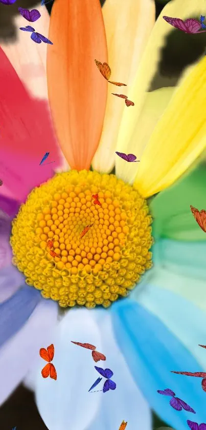 Vibrant multi-colored flower with butterflies against dark background.