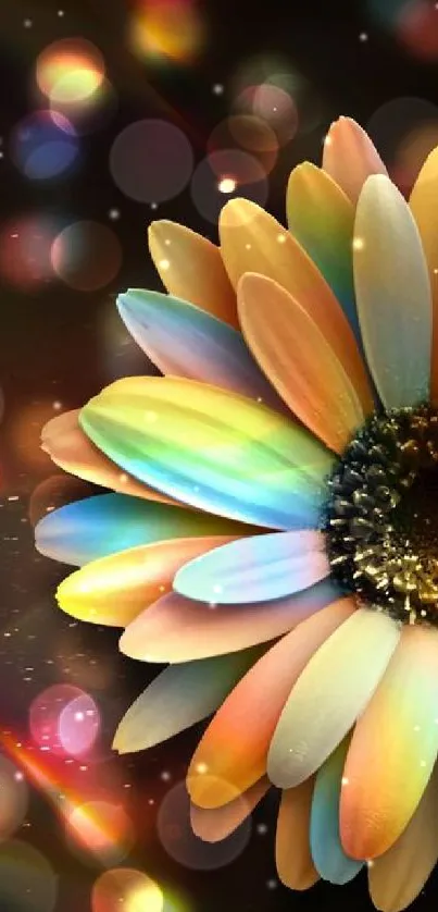 Vibrant rainbow flower on bokeh background.