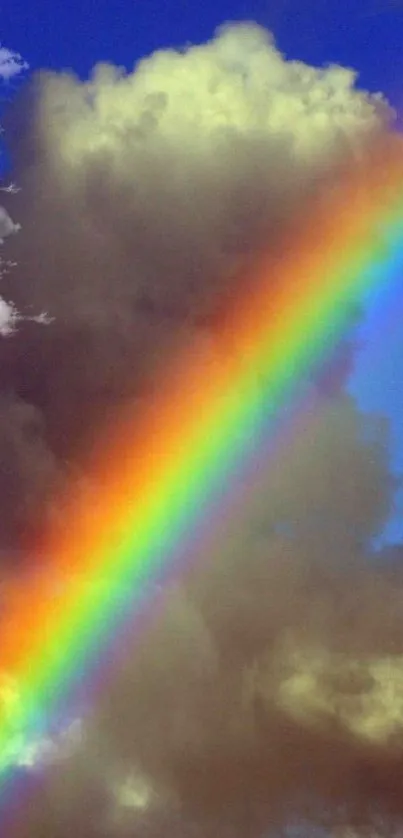 Colorful rainbow across dark clouds and blue sky.