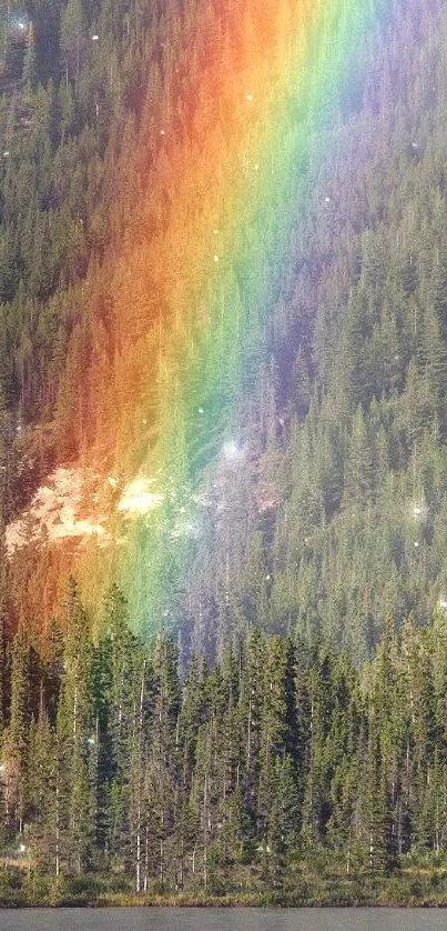 Vibrant rainbow stretching over a lush forest landscape.