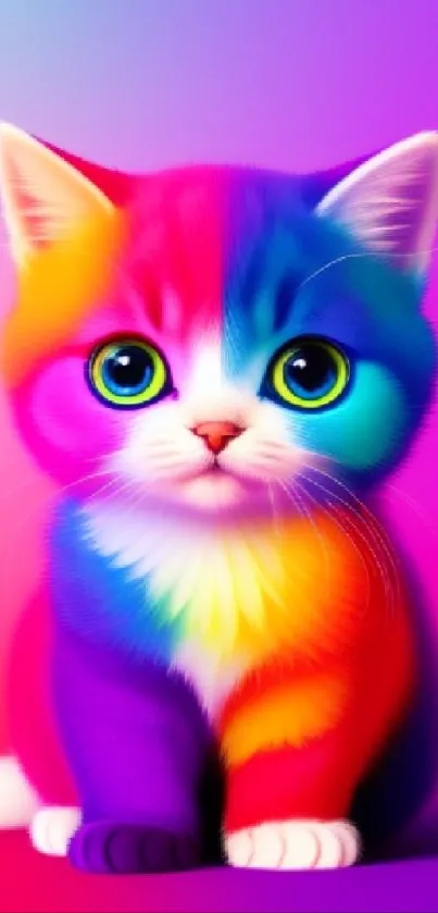 Vibrant rainbow kitten wallpaper with magenta background.