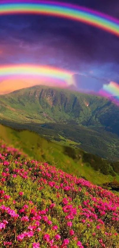 Vibrant rainbow over mountains with flowers in foreground, colorful nature scene.