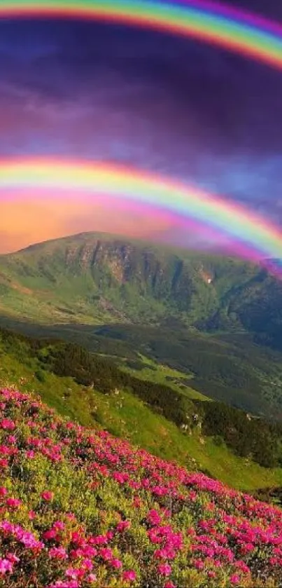 Mobile wallpaper featuring rainbow over mountain landscape with flowers.