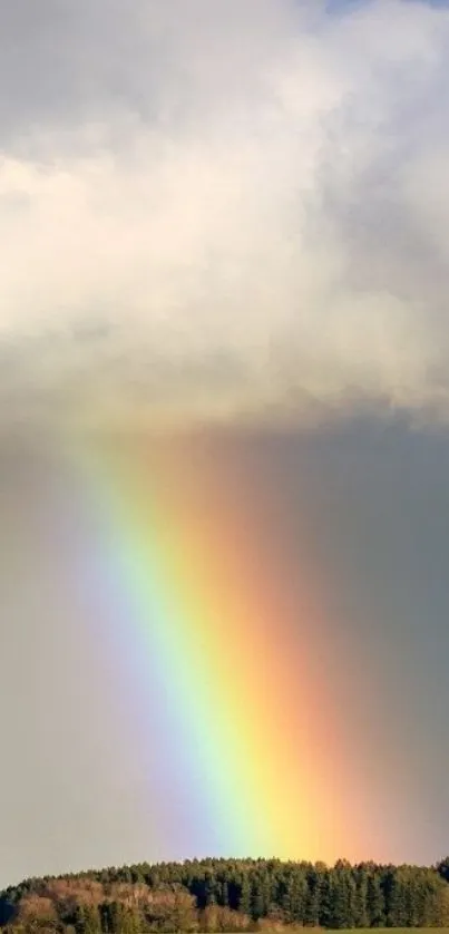 Rainbow over lush fields under a cloudy sky.