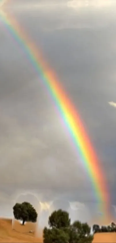 Vibrant rainbow arcs over scenic landscape with gray sky.