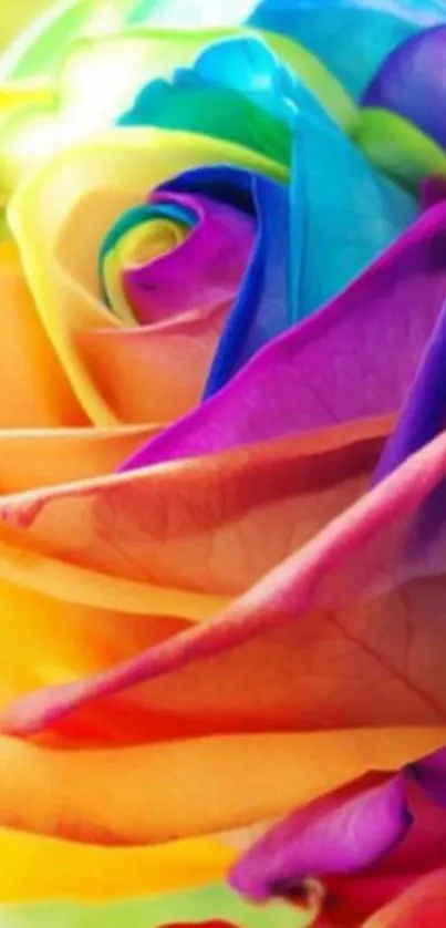 Vibrant rainbow-colored rose wallpaper.