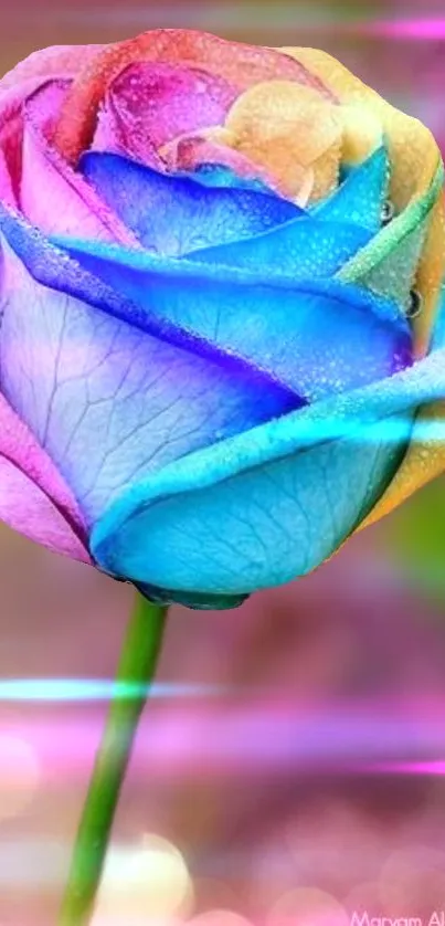 Vibrant rainbow rose on a dreamy pink background.