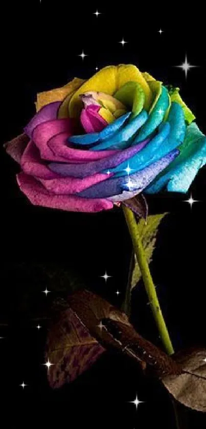 Vibrant rainbow-colored rose on dark background.