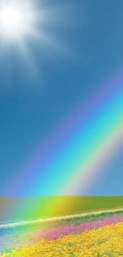Vibrant rainbow over sunny field under clear blue sky.