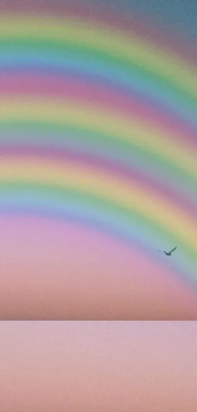 Colorful rainbow arch in a serene sunset sky with a flying bird.