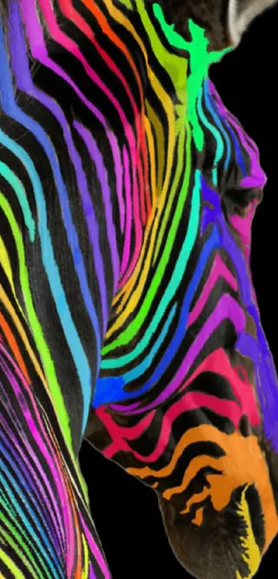 Colorful zebra with rainbow stripes on black background.