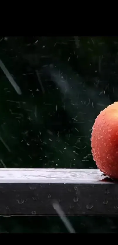 Close-up of a rain-kissed apple with water droplets against a dark green background.