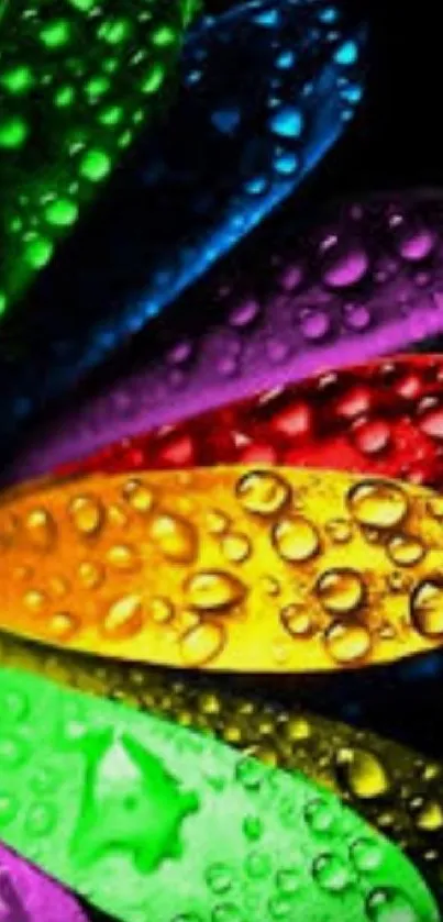 Vibrant raindrop petals in diverse colors, perfect for phone wallpaper.