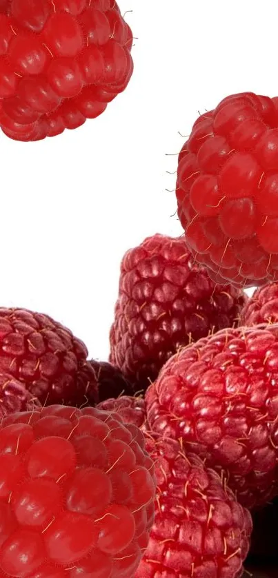 Vibrant red raspberry fruits arranged. A fresh and colorful phone wallpaper.