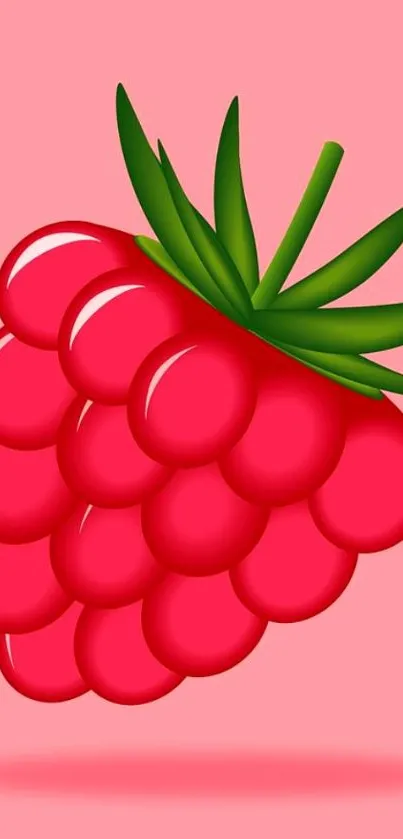 Vibrant raspberry illustration with pink background.