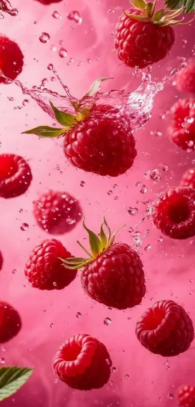 Juicy raspberries splashing with vibrant pink background.