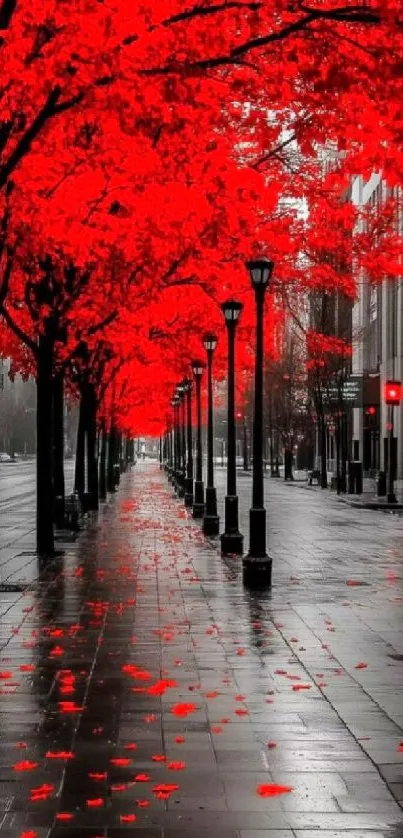 Pathway lined with vibrant red trees in autumn.