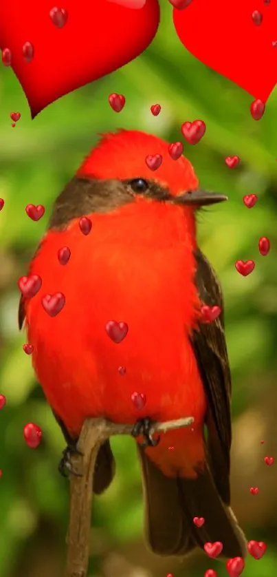 Bright red bird with hearts on green background.