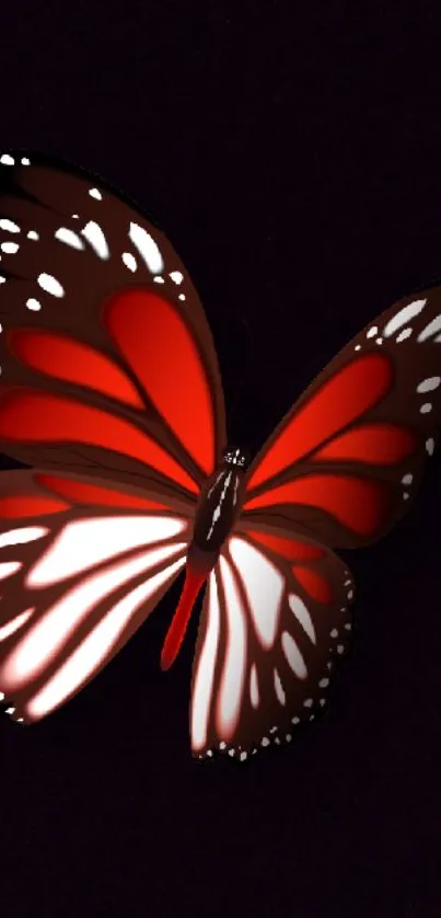 Vibrant red butterfly on dark background, perfect for mobile wallpaper.