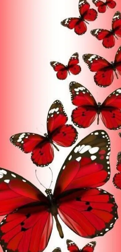 Vibrant red butterflies on a gradient background.