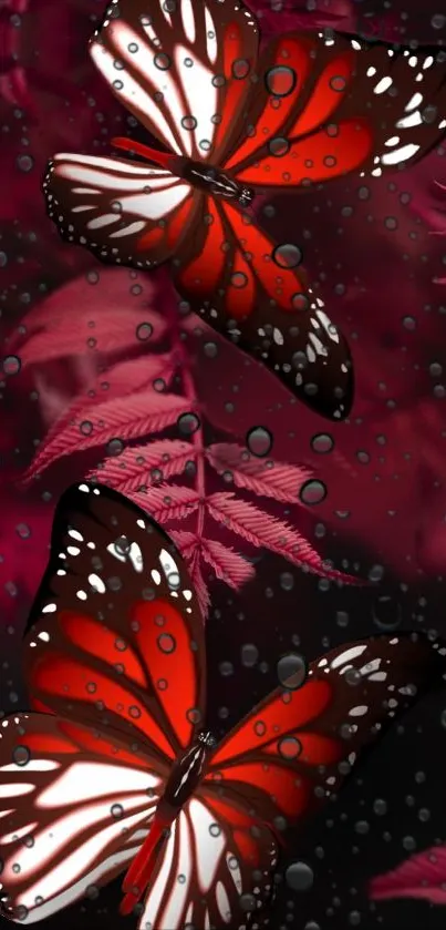 Two vibrant red butterflies with droplets on a rich background.