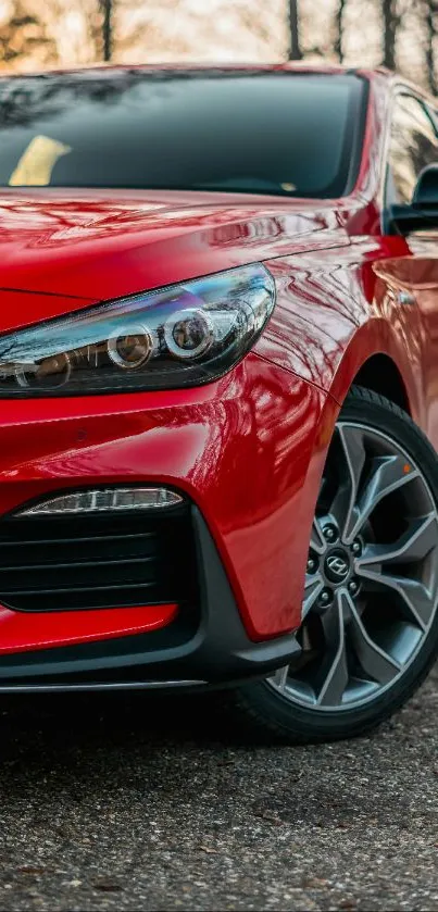 Close-up of a vibrant red car on a scenic background.